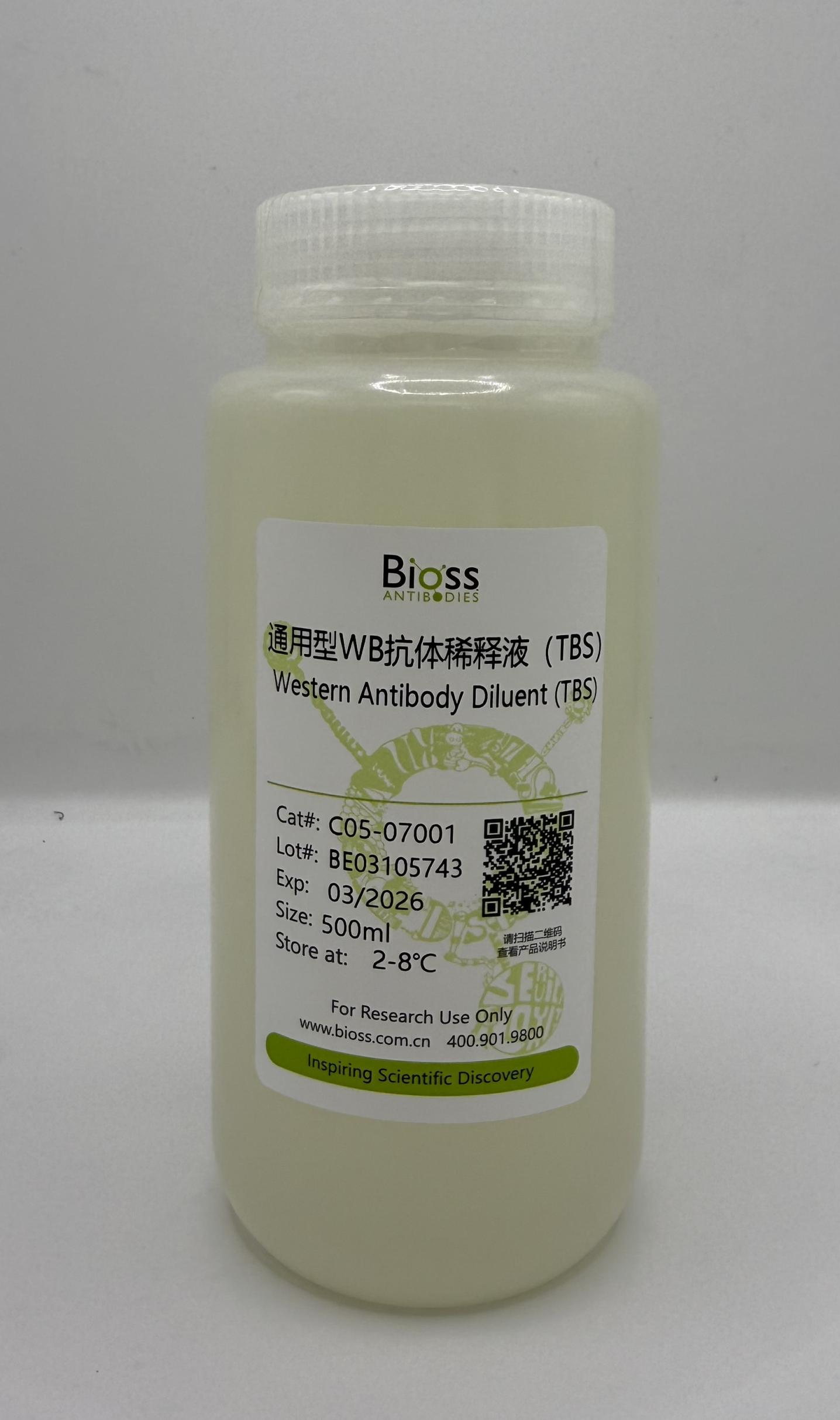 通用型WB抗体稀释液（TBS）