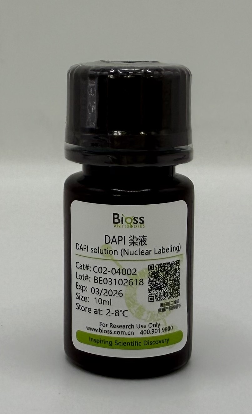 DAPI染色液(即用型)