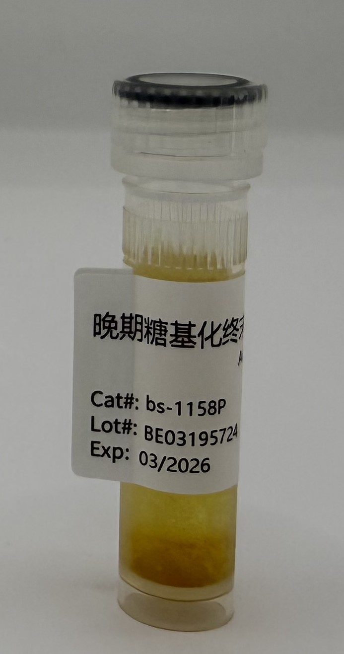 AGEs (天然蛋白) | Bioss