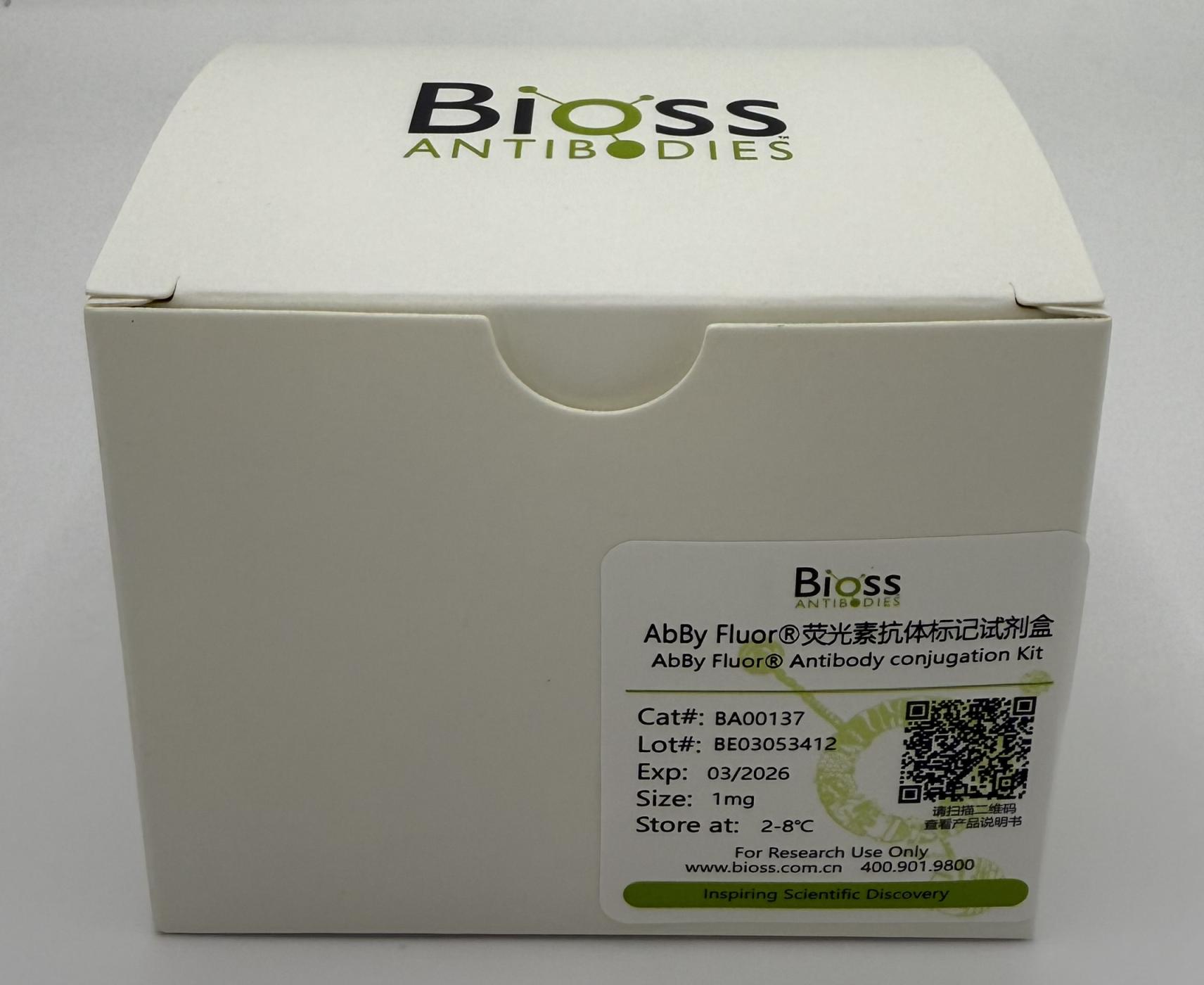 BF488抗体标记试剂盒-BA00137