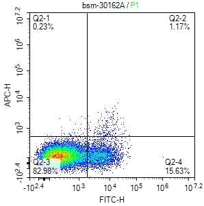 小鼠CD86单克隆抗体-bsm-30162A