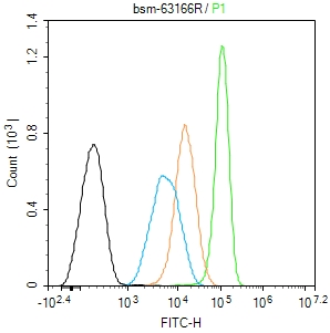 信号转导与转录激活因子1重组兔单抗