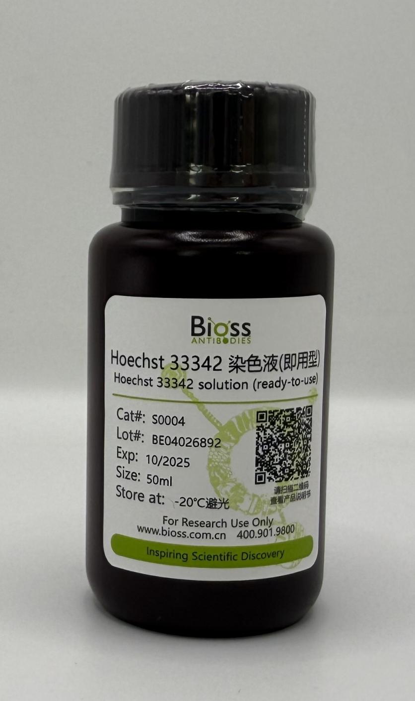 Hoechst 33342 solution (ready-to-use) (染色液) | Bioss