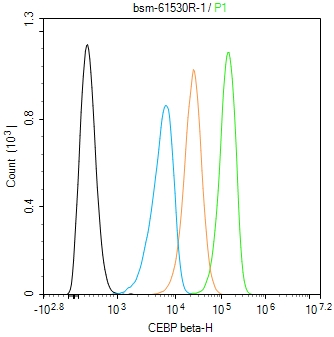 转录调节因子CEBP β重组兔单抗