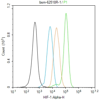 缺氧诱导因子1α /HIF-1α重组兔单抗