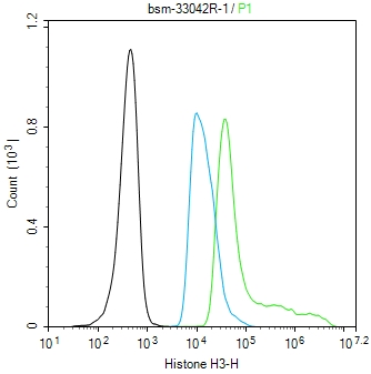 组蛋白H3(核内参)重组兔单抗
