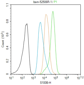 S100B蛋白重组兔单抗