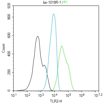 Toll样受体2（CD282）抗体-bs-1019R