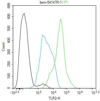 Toll样受体2（CD282）抗体