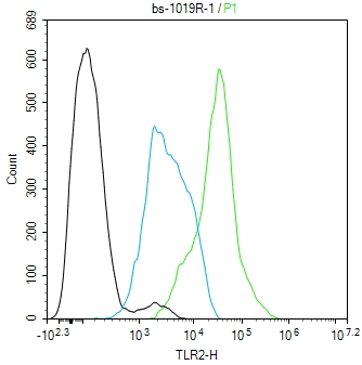 Toll样受体2（CD282）抗体-bs-1019R
