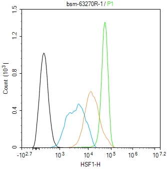 热休克因子1重组兔单抗