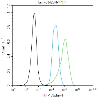 缺氧诱导因子1α 单克隆抗体-bsm-33428M