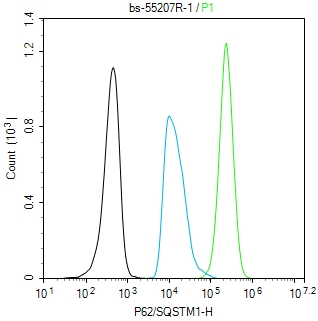 泛素结合蛋白P62抗体-bs-55207R