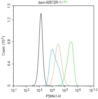蛋白酶体PSMα1重组兔单抗-bsm-60572R