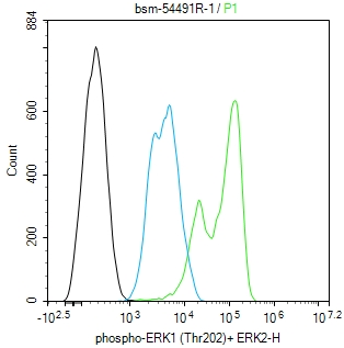 磷酸化丝裂原活化蛋白激酶1/2抗体