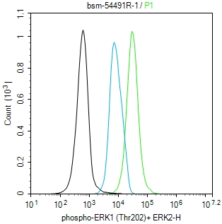 磷酸化丝裂原活化蛋白激酶1/2抗体