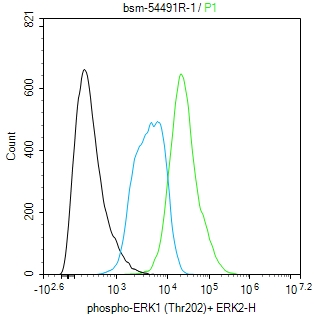 磷酸化丝裂原活化蛋白激酶1/2抗体