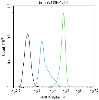 腺苷单磷酸活化蛋白激酶α1重组兔单抗