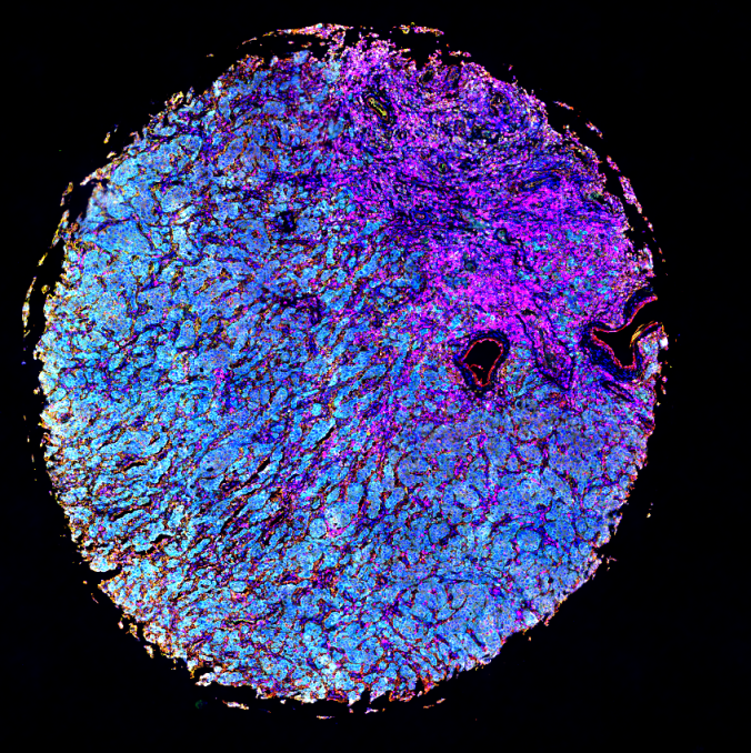 六标七色多重荧光检测试剂盒-IHCT005