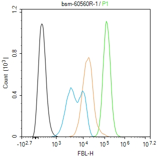 核仁纤维蛋白重组兔单抗