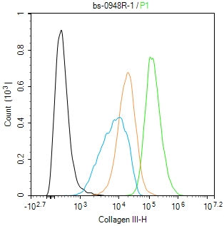 Ⅲ型胶原蛋白/胶原蛋白3/3型胶原蛋白抗体-bs-0948R