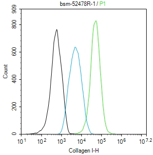 I型胶原重组兔单抗