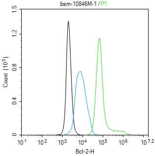 Bcl-2单克隆抗体