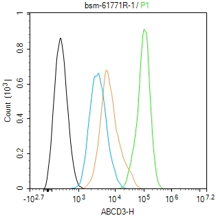 过氧化物酶膜蛋白1重组兔单抗