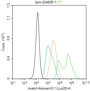 乙酰化组蛋白H3.1(Lys28)重组兔单抗