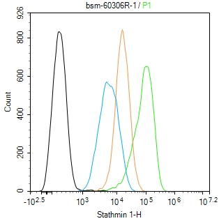 白血病相关蛋白18/癌蛋白18重组兔单抗