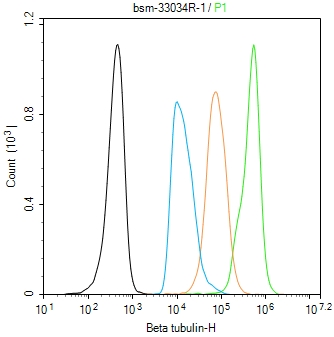 微管蛋白β tubulin/Tubulin β(内参)重组兔单抗