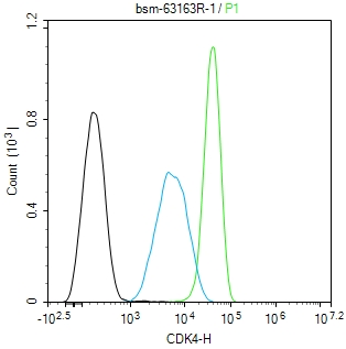 周期素依赖性激酶4重组兔单抗