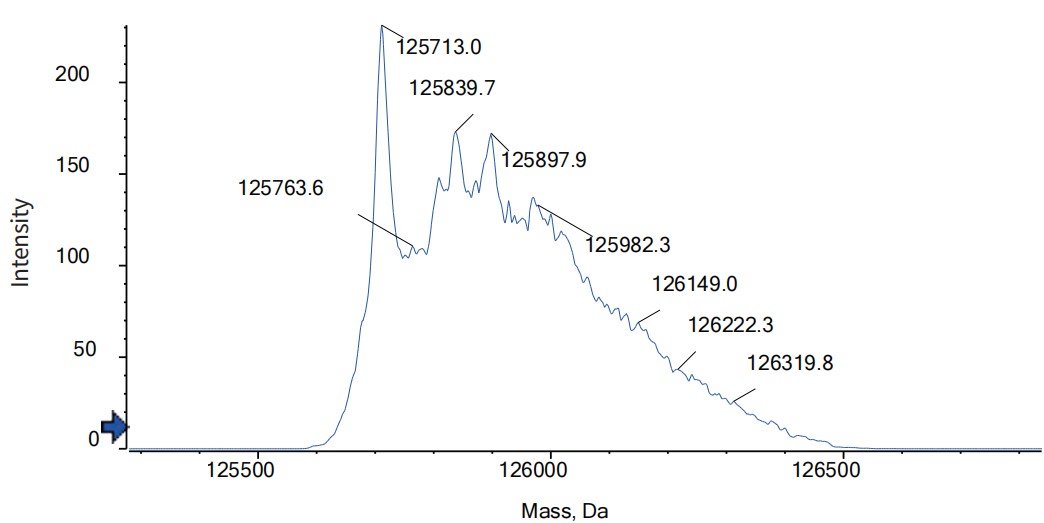 Anti-CD3 & EpCAM Reference Antibody (M701 Biosimilar) (Biosimilar抗体) | Bioss