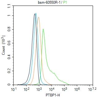核糖核酸结合蛋白1重组兔单抗-bsm-60550R
