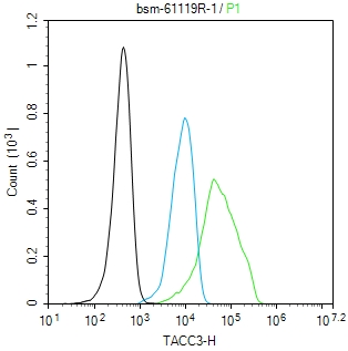 TACC3重组兔单抗