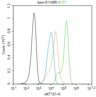 蛋白激酶AKT底物1重组兔单抗-bsm-61149R