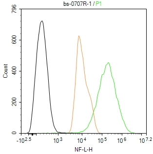 低分子量神经丝蛋白抗体-bs-0707R