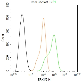 丝裂原活化蛋白激酶1/2单克隆抗体-bsm-33234M