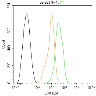 丝裂原活化蛋白激酶1/2抗体-bs-2637R