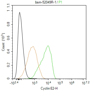 周期素E2重组兔单抗