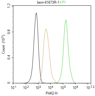 p21激活激酶2重组兔单抗
