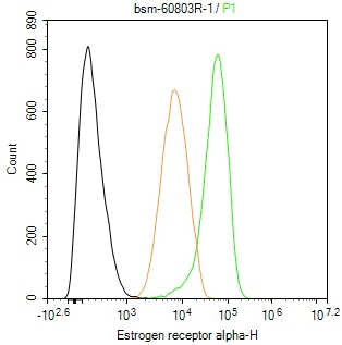 雌激素受体α重组兔单克隆抗体