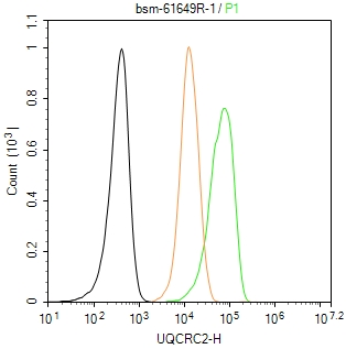 线粒体辅酶细胞色素C还原酶核心蛋白2重组兔单抗