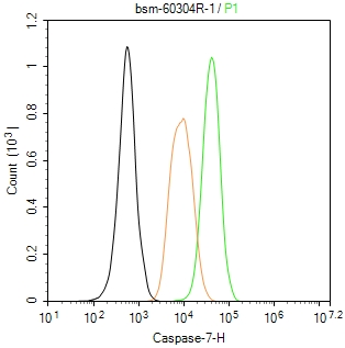 半胱胺酸蛋白酶-7重组兔单抗