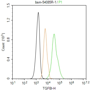 角膜上皮蛋白TGFBI重组兔单抗