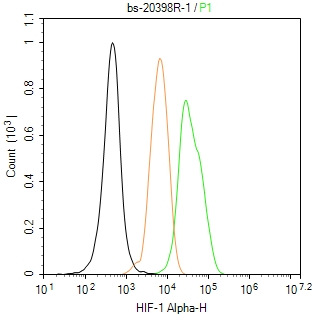 缺氧诱导因子1α/HIF-1α 抗体-bs-20398R