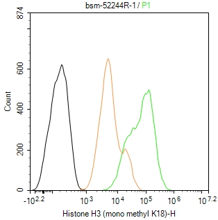 单甲基化组蛋白H3K18重组兔单抗