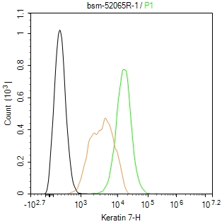 细胞角蛋白7重组兔单抗