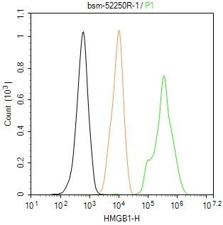 高迁移率族蛋白B1重组兔单抗