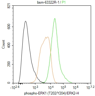 磷酸化丝裂原活化蛋白激酶1/2重组兔单抗